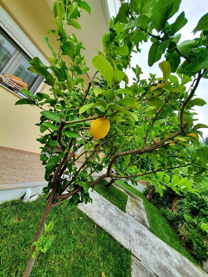 Apartamenty Rodzinne Kamena Vourla Exteriör bild